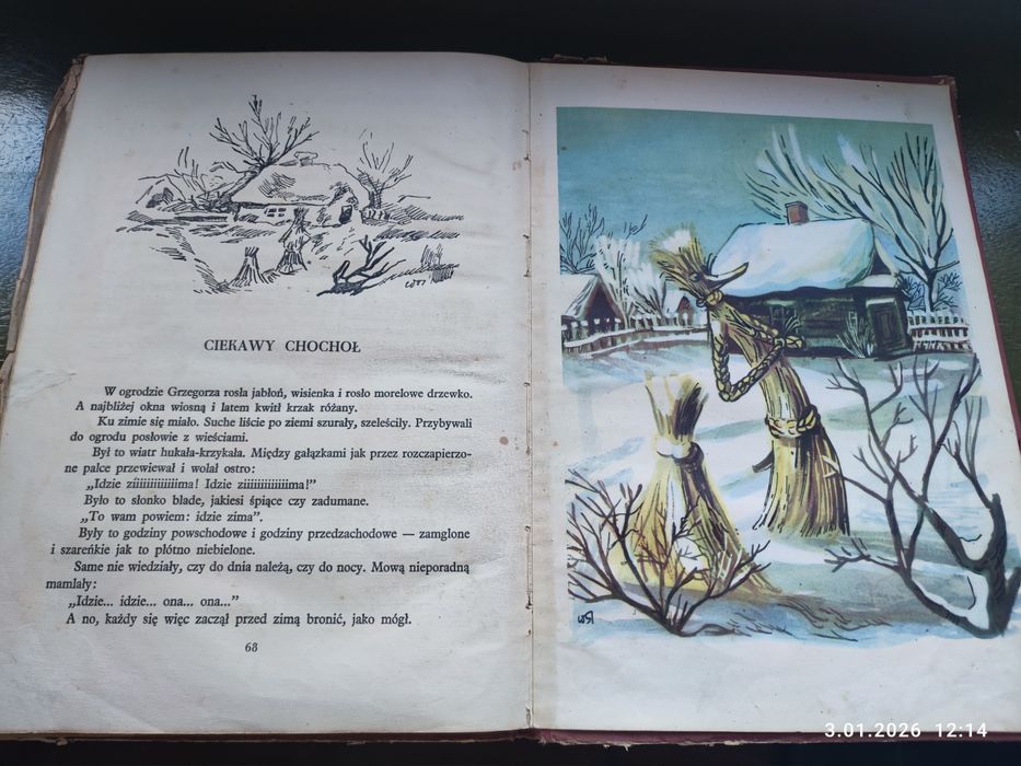 Unikat Porazińska Bajdurki z 1954