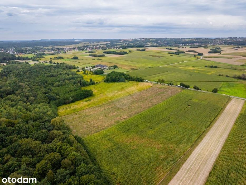 Działka rolna o powierzchni 2,6 ha - Widok 4