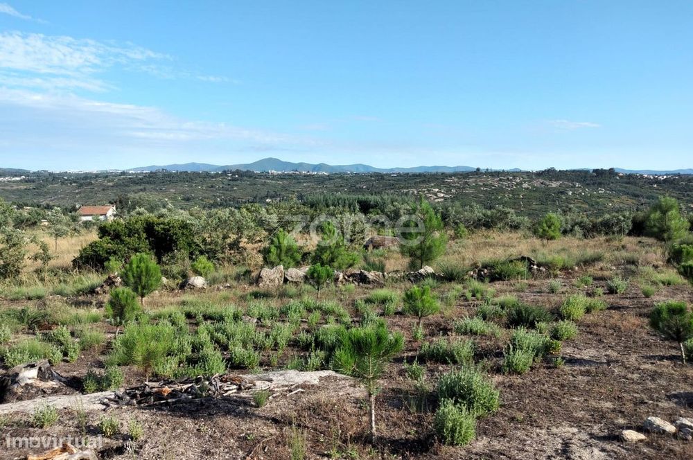 Terreno 1490m2 em Lagares - Coimbra