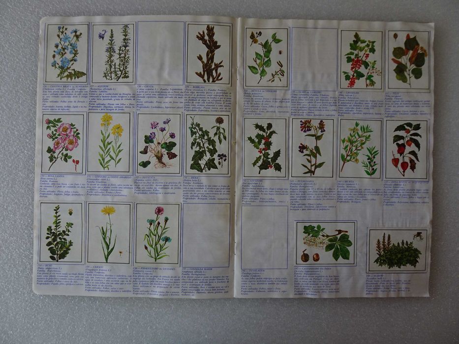 Caderneta de cromos Mundo Botânico - Francisco Más (faltam 54 cromos)