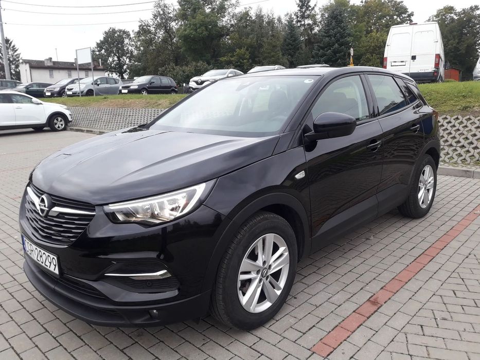 Opel Grandland X Pierwszy właściciel w kraju, garażowany.
