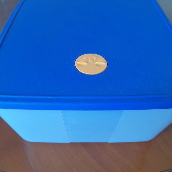 Caixa tupperware496776244647710722
