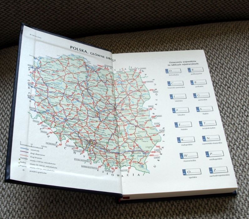 Kalendarz książkowy, terminarz 2020, ok. A6, zielony z motywem - las