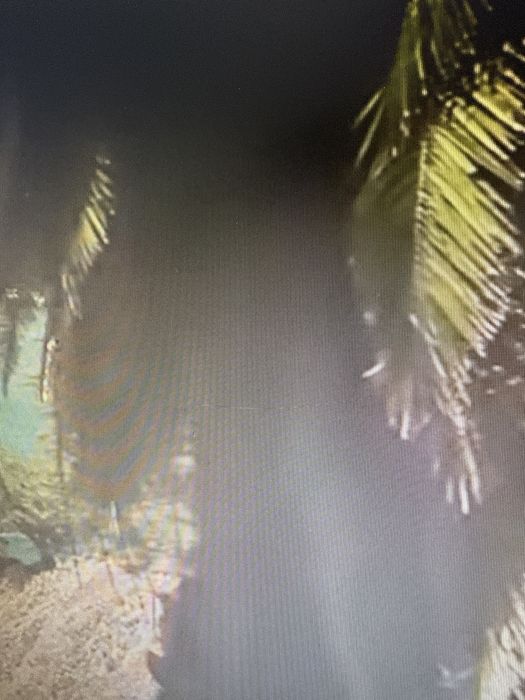 Monitor Asus VG258QR