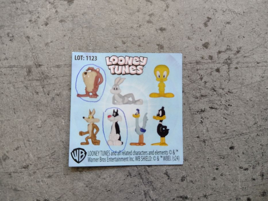 Looney tunes - Miami z biedronki