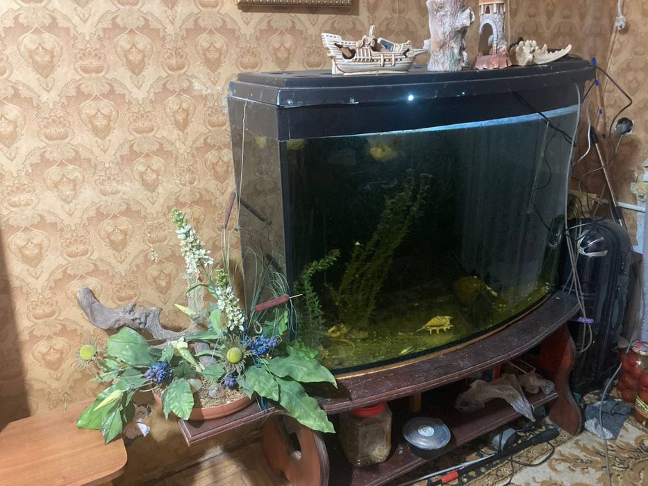 Акваріум 250 л