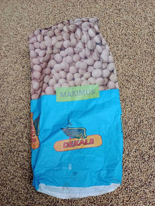 Продам насіневу сою "Максимус"