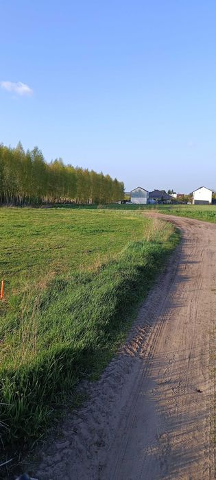 Dzialka budowlana Krosinko - Widok 2