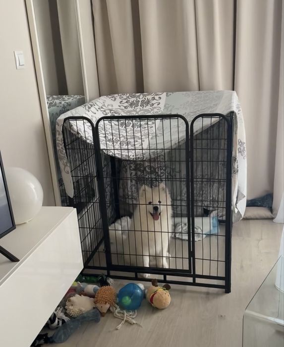 Klatka/kennel dla psa