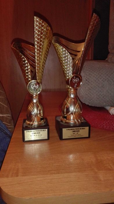 Sprzedam kolekcjonerowi 2 puchary za 15