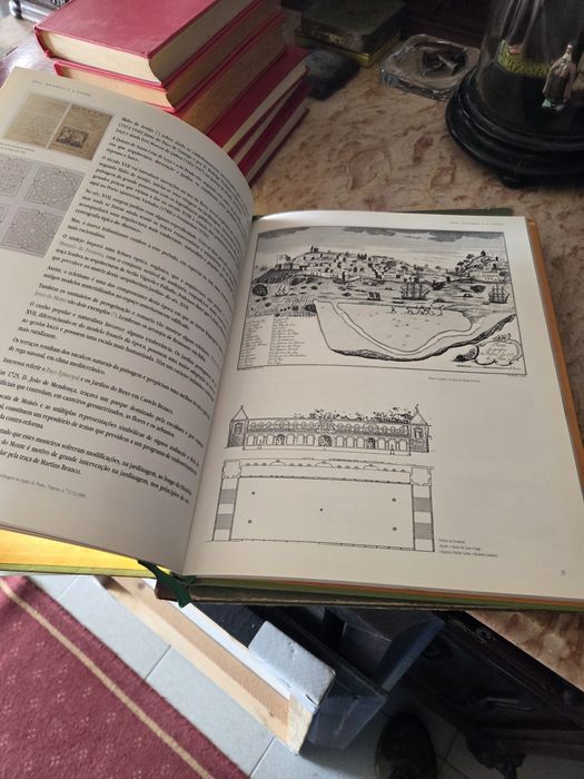 Livro Arte Natureza e a Cidade