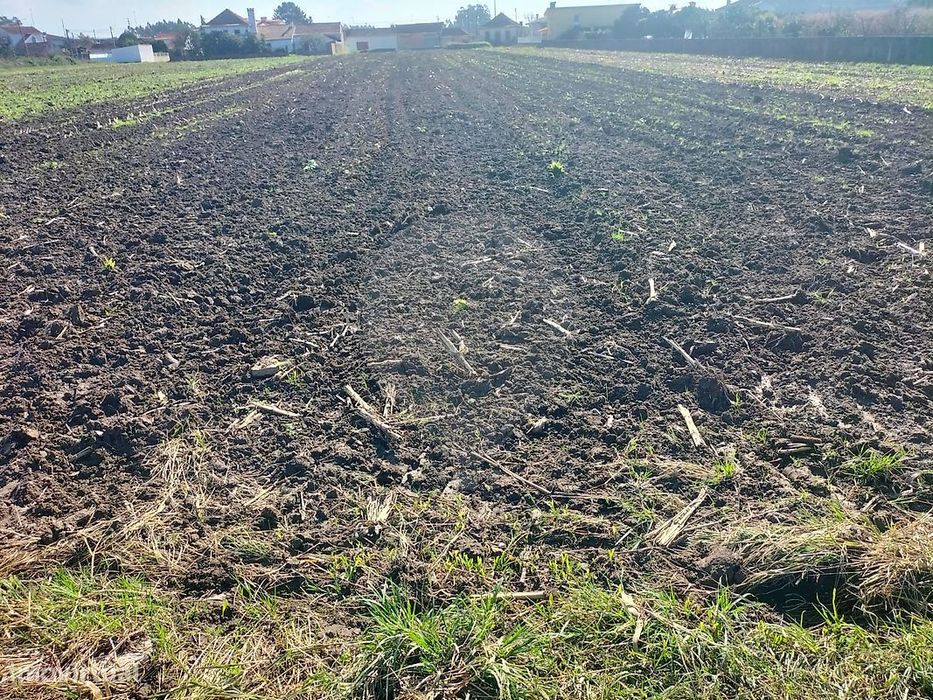 Terreno  para venda