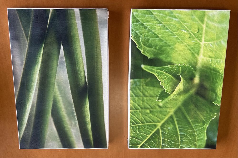 Conjunto de 2 Telas com fotografia em tela  de autor