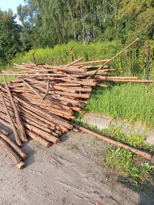 Słupki żerdzie podpory drewno opal