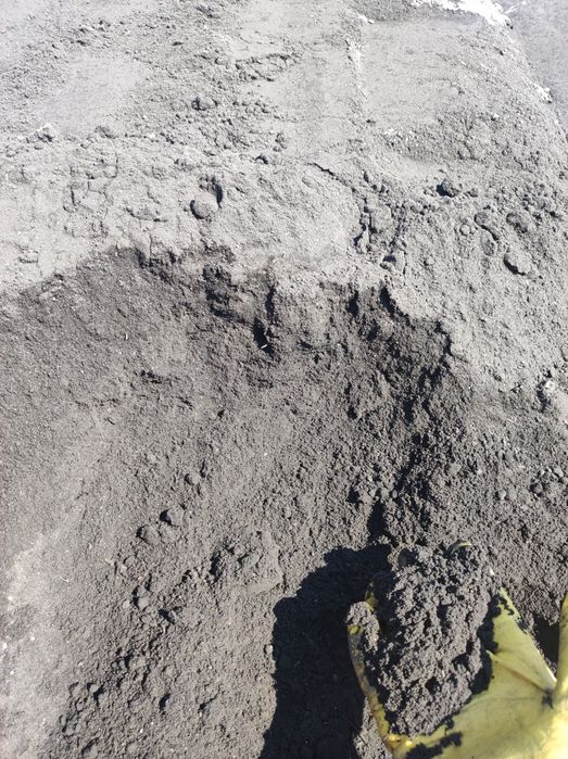 Czarnoziem Ziemia Ziemia Ogrodowa Humus ziemia kopana  Sprzedaż