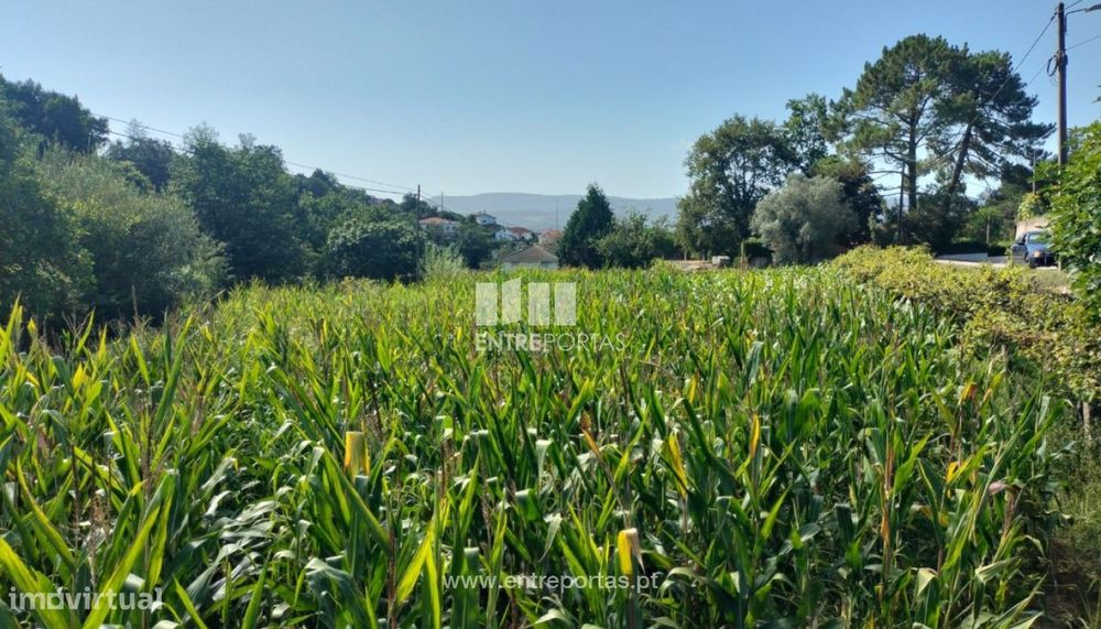 Terreno de construção, para venda, Gondarém, Vila Nova de Cerveira