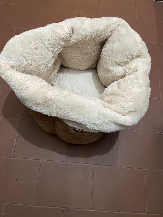 Cama de gato ou cao pequeno
