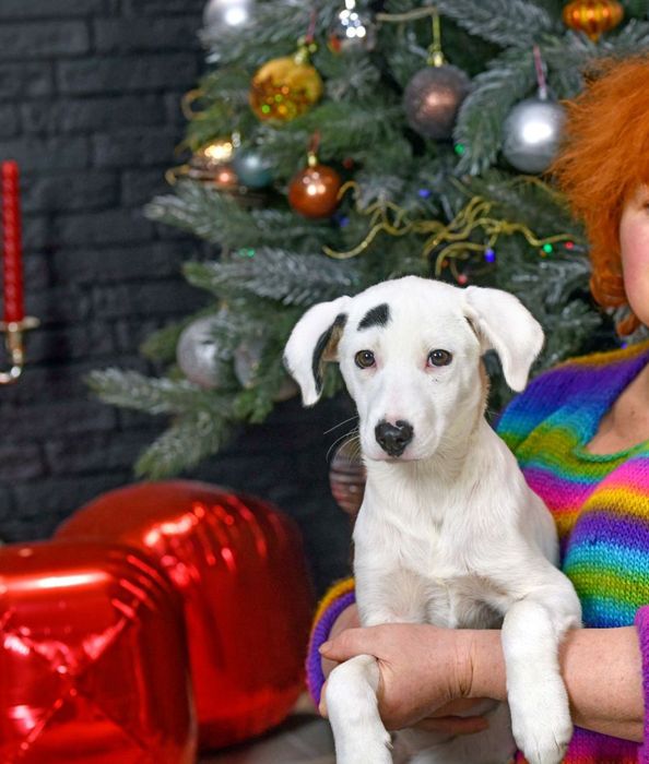 Дівчинка знайдена в полі