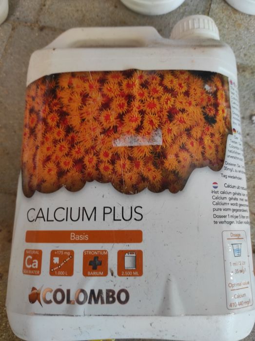 Colombo do akwarium morskiego