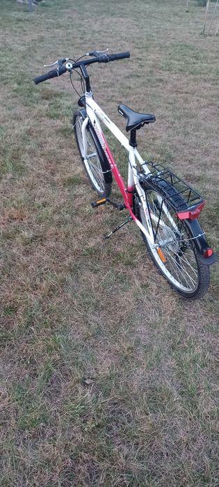 Rower SPRICK Conquest 26"