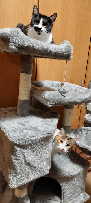 Drapak,legowisko wys.140cm dla dużych i małych kotków