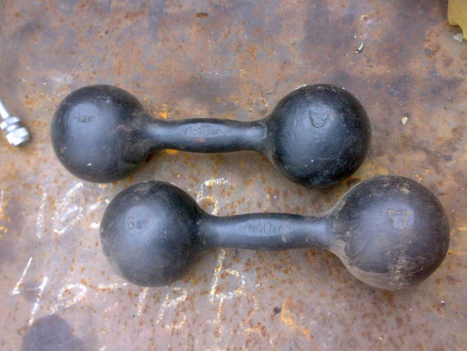 товары для школьников .гантели 10 кг