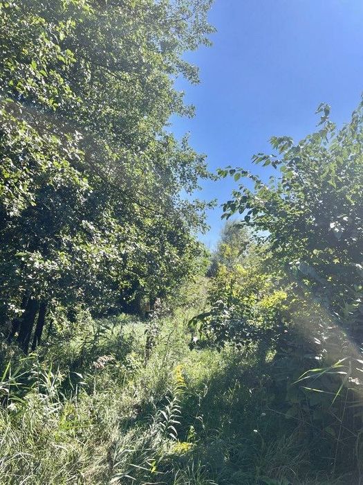 Земельна ділянка 1,42 Га! Березівка!