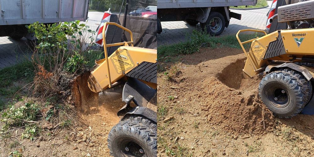 Karczowanie działek Legionowo | Wycinka drzew | Frezowanie pni