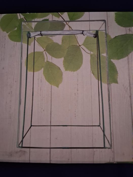 Szklarnia foliowa wymiary 100×50×150 cm