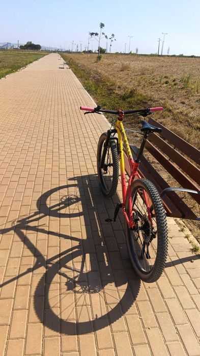 ragley big wig 29er