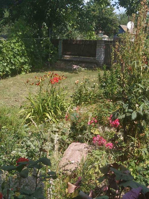 Будинок м. Мена, 110 кв. м., 20 соток