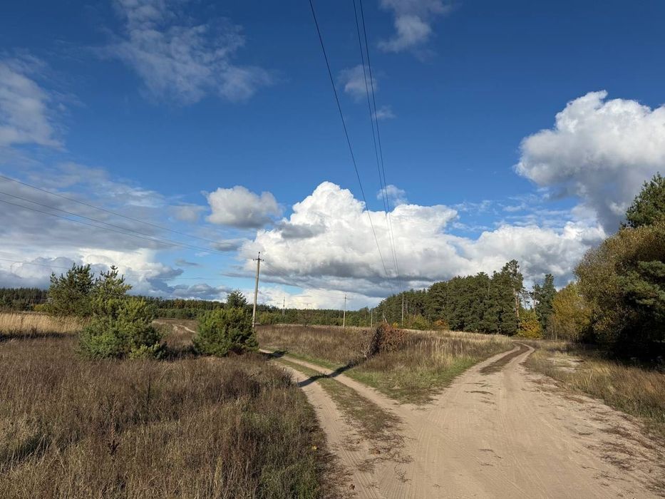 Дмитрівка. Ділянка 15 сот в Оточені ЛІСУ. Без комісії