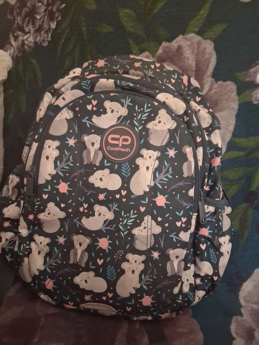 Plecak w koale cropp