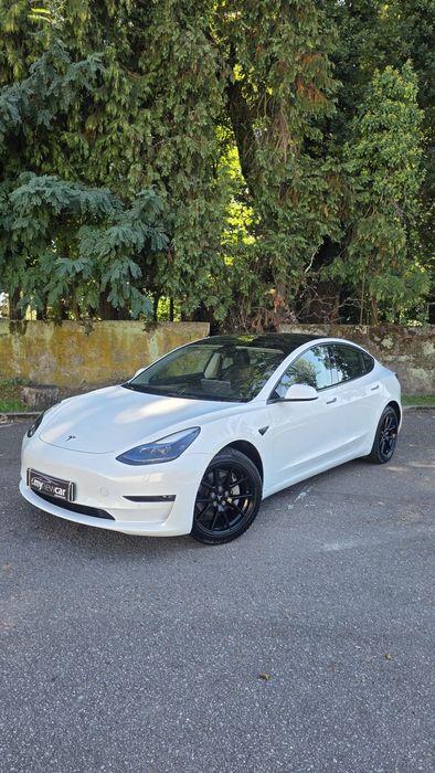 Tesla Model 3 AWD Dual Motor