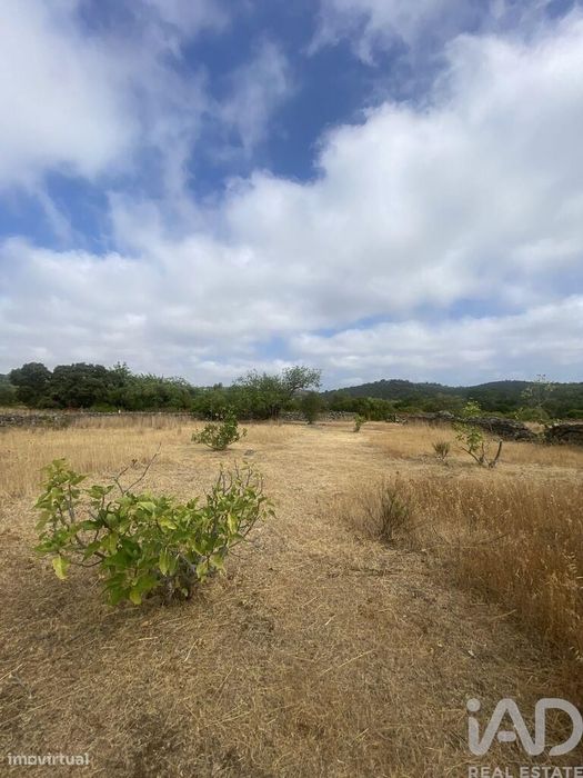 Terreno em Santa Catarina da Fonte do Bispo de 10000,00 m2