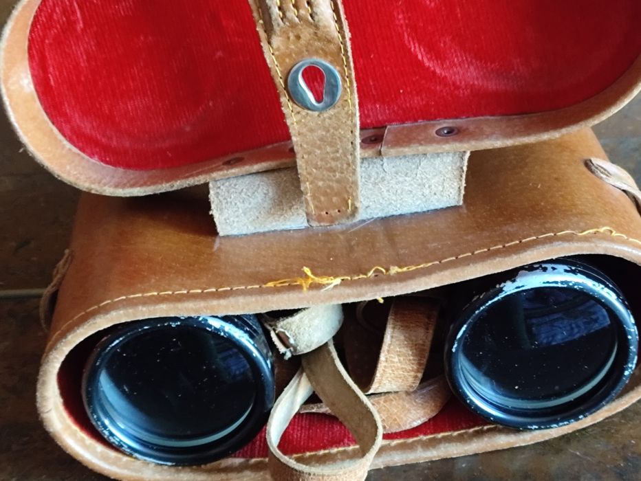 Бинокль коллекционный Handy-Look 10х50 Adlersicht