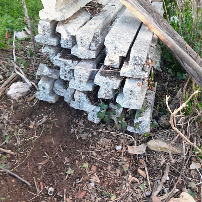 Bigas para bacarias bom estado