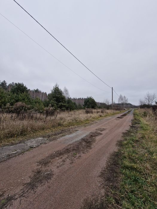 Продається земельна ділянка в Озерному.