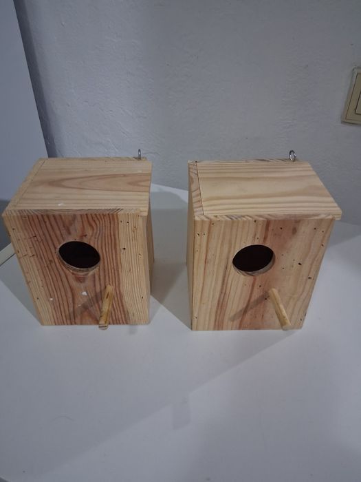 2 ninhos de piriquitos australianos