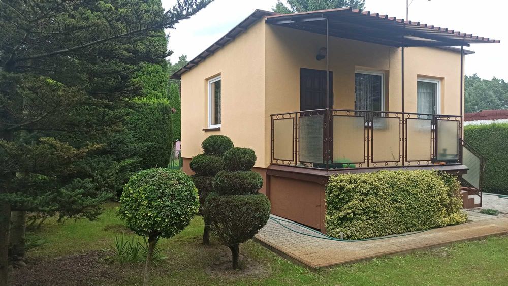 Działka ROD w Drzewcach