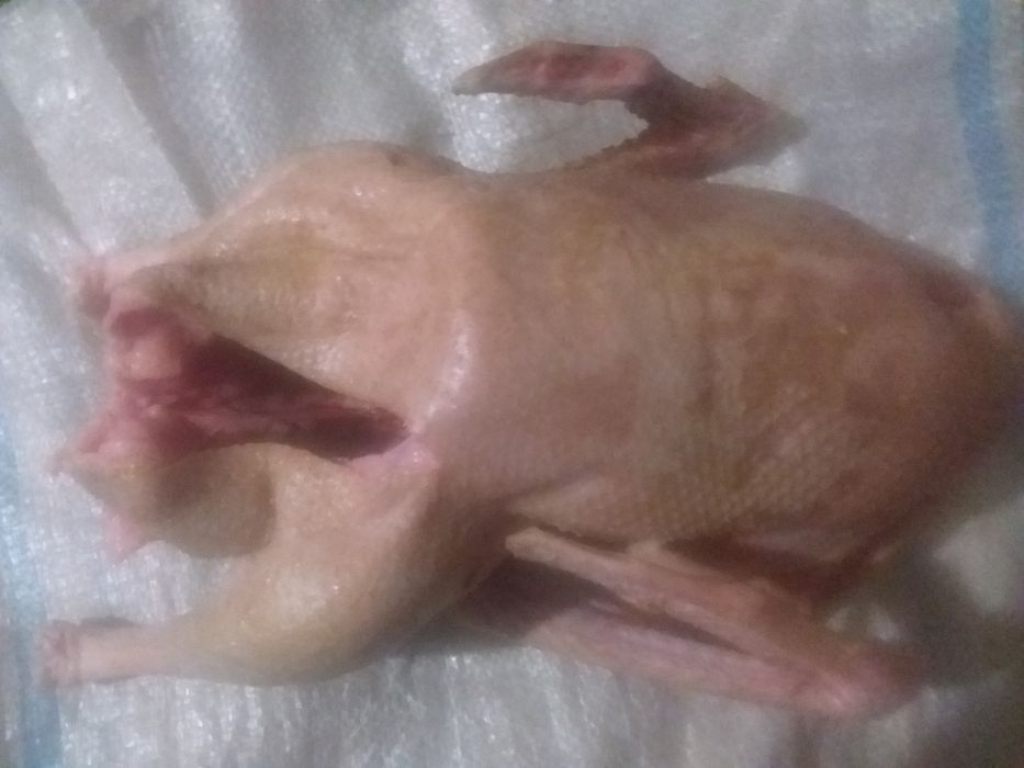 Продам домашние гусиное мясо