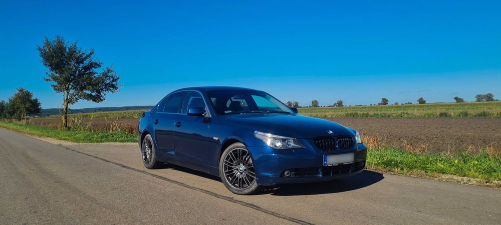 BMW serii 5 E60 520d *POLSKI SALON*