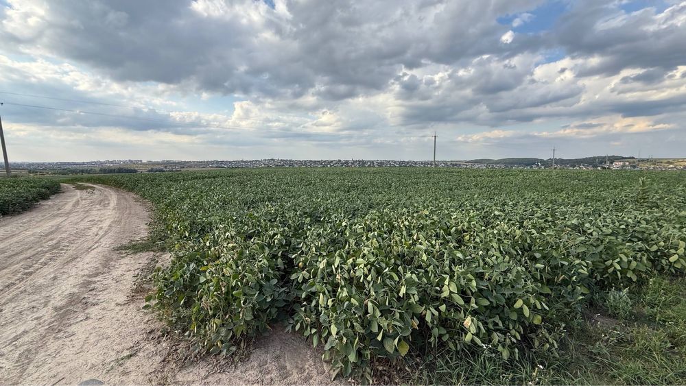 Продаж земельної ділянки