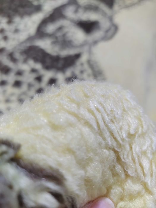 cobertor duas fases casal maravilhoso