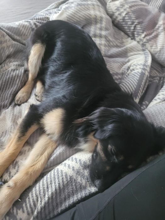 Czekam na dom - Kira