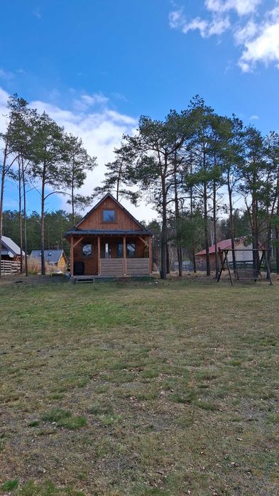 Domek nad jeziorem. Bory Tucholskie.  Las, ryby, grzyby.