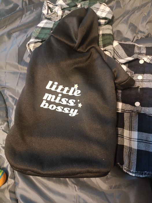 Модний одяг для вашого улюбленця,все нове,ціна за все