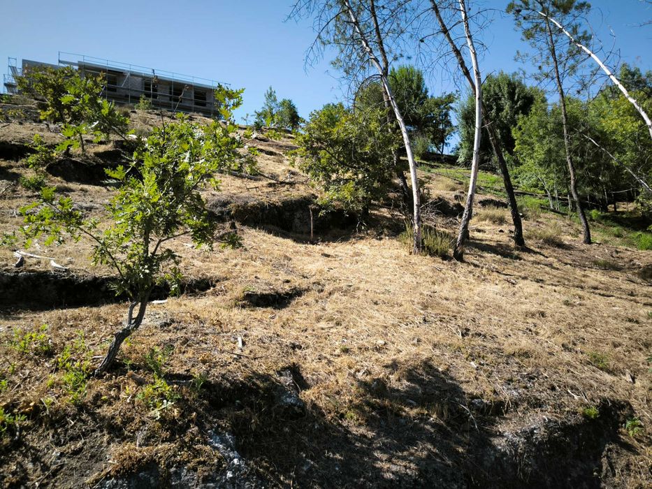 Terreno para venda(construção), em Sanche, com 2736m2