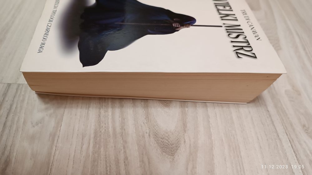Wielki Mistrz. Trudi Canavan