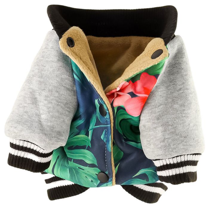 Теплая одежда для собак